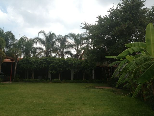 Jardin Villa las Palmas